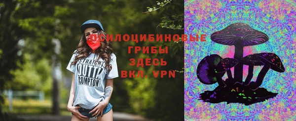 прущие грибы Абдулино