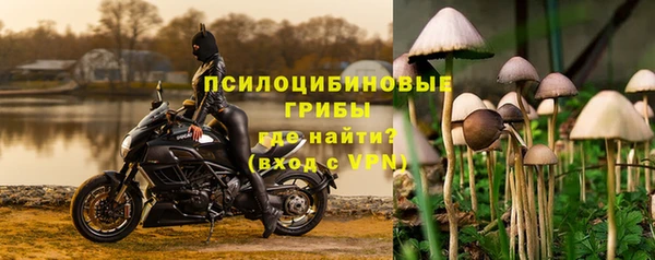 сатива Пересвет
