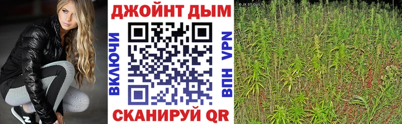 купить  цена  Нахабино  МАРИХУАНА сатива 